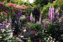 散歩でショト・・・夢の庭