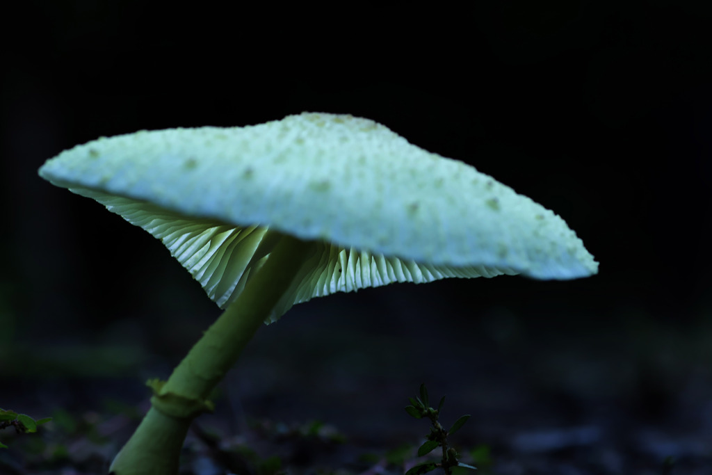 静寂
