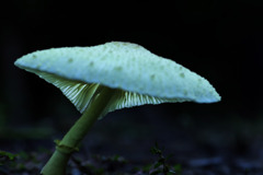 静寂