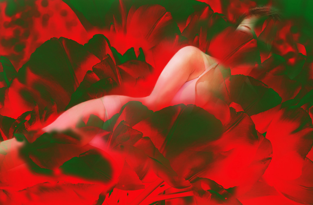 華7