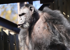 直ぐに文句を言うタイプ