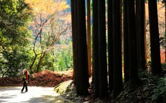 神護寺3
