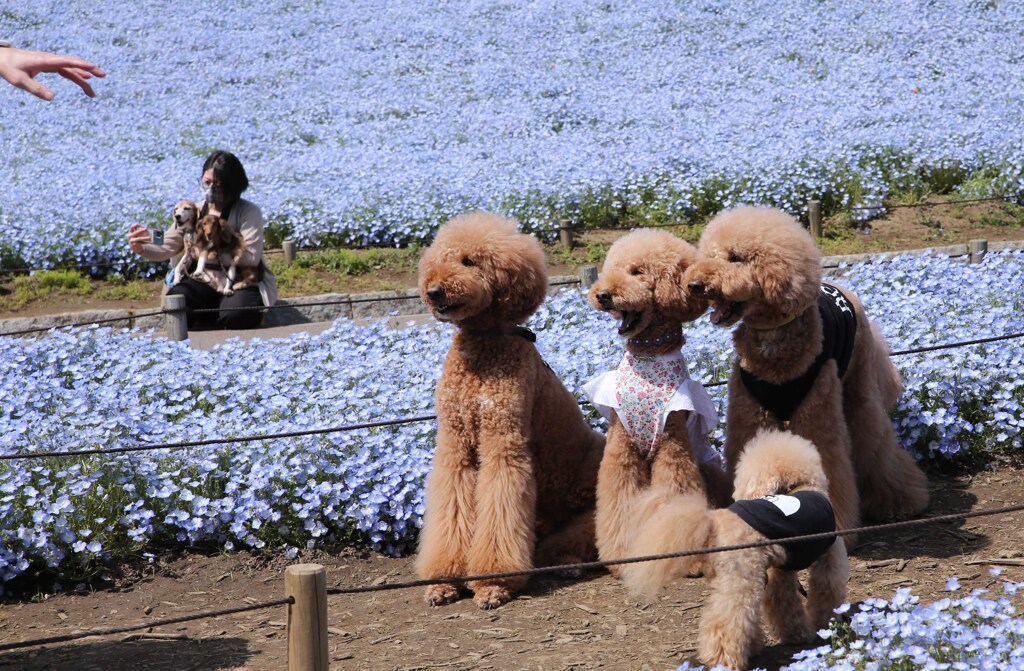 写真撮るから早く並んでよ、早く～