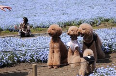 写真撮るから早く並んでよ、早く～