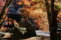 外房よいとこ･･･小松寺２