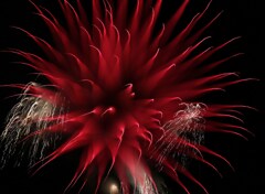 デザイン花火８