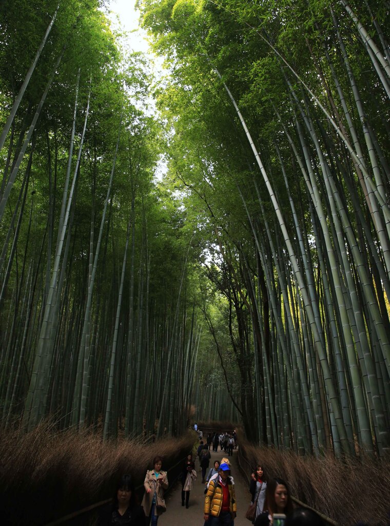 京都６