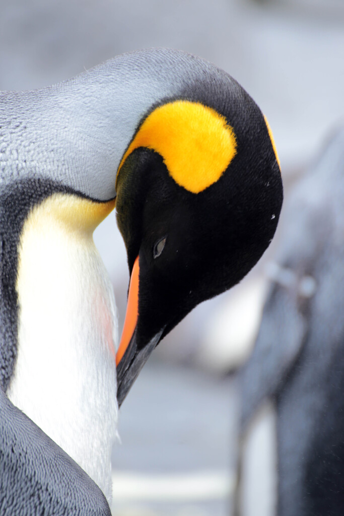 貌（かお）２２・・・清潔感が大事なのよ、この世界