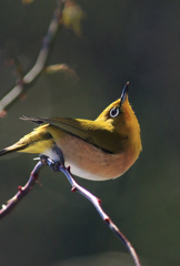 日だまりの中で