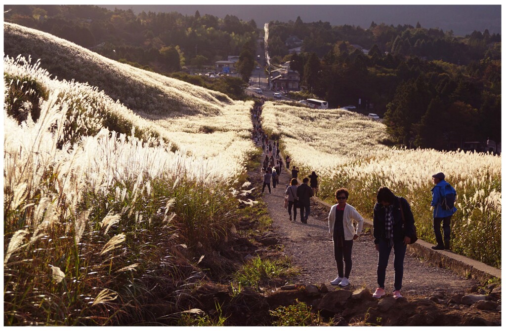 箱根･･･仙石原