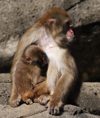 見ないで恥ずかしいから