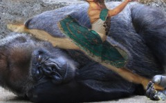 夢・・・しっかりつかまえた