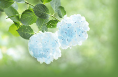 頬紅は淡くコバルトブルーで