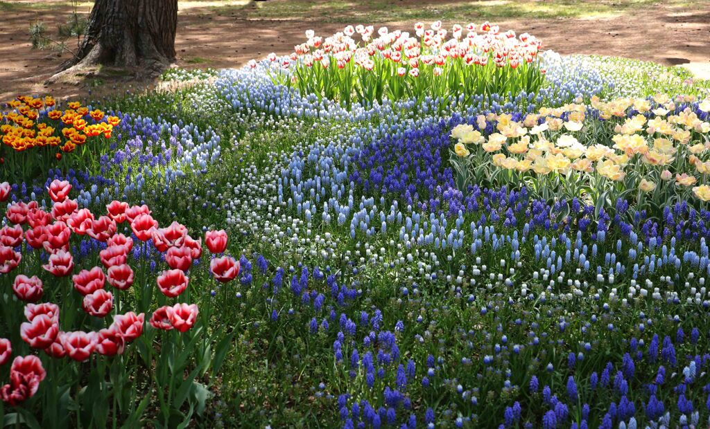 どこまでも透明なブルー