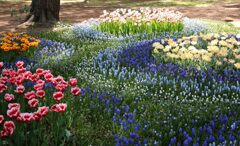 どこまでも透明なブルー