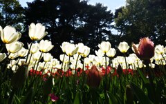 常陸那珂、海浜公園２