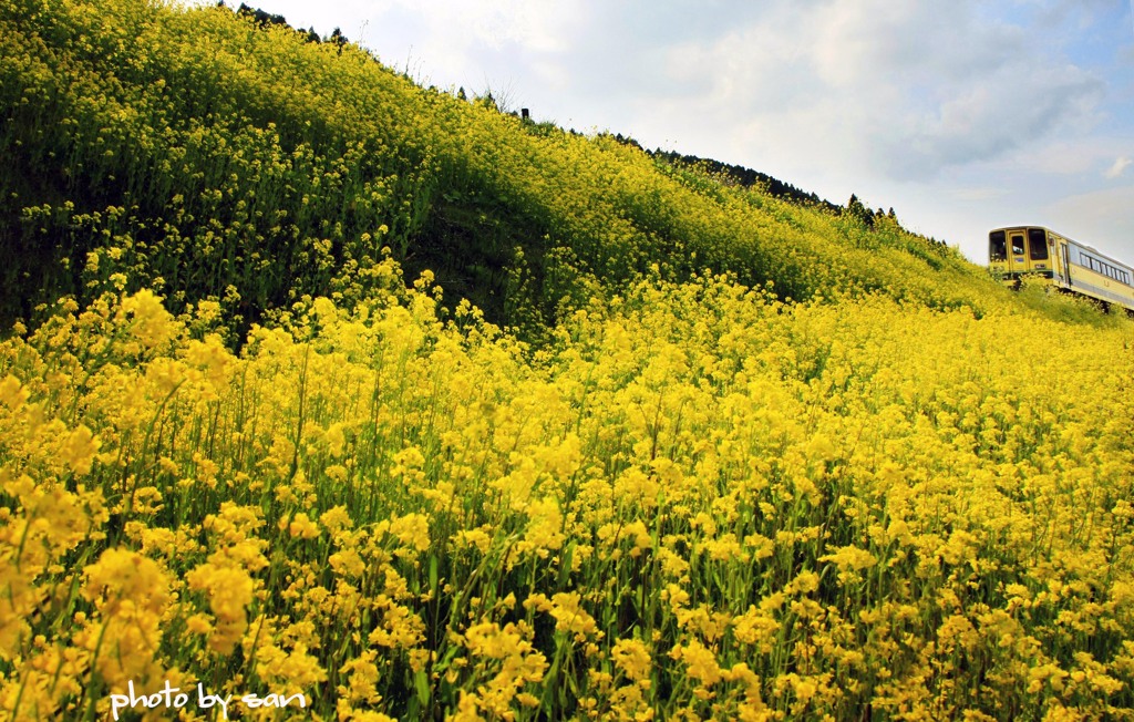 いすみ鉄道･･･新田野（過去写真）