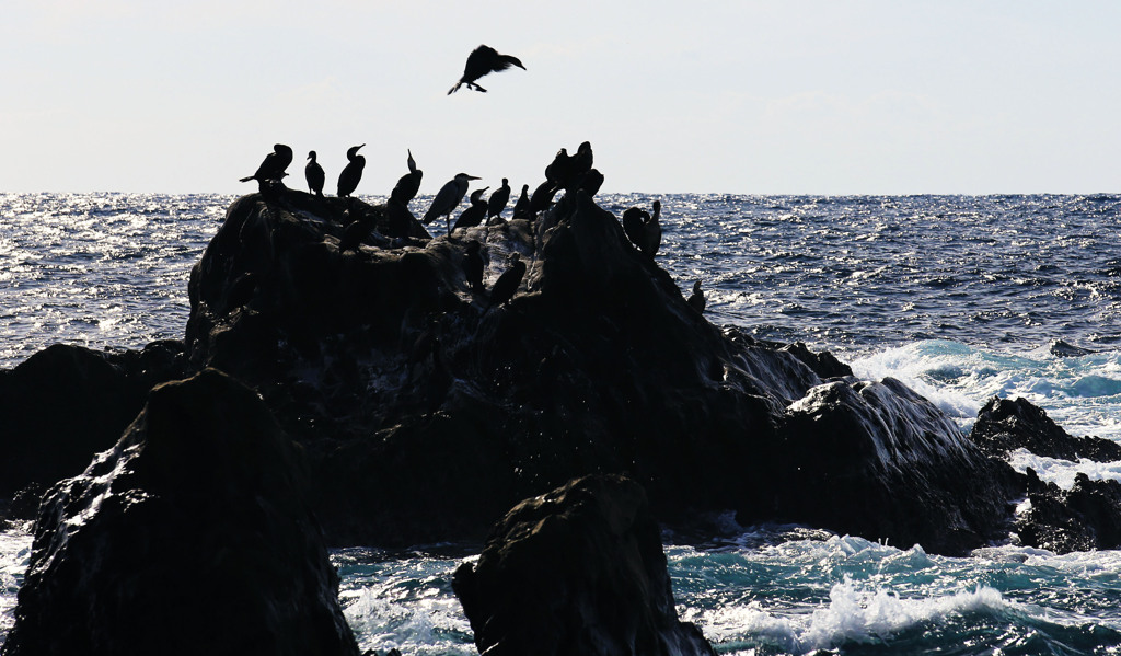 外房よいとこ･･･南房総市