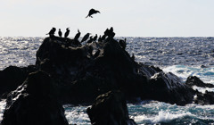 外房よいとこ･･･南房総市