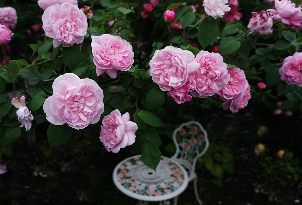 ファンタンラトール２