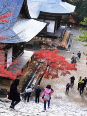 京都９