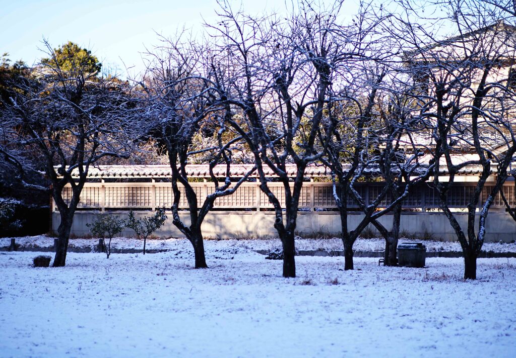 雪
