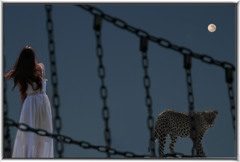 チェーンの向こうに