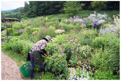 風のガーデン１