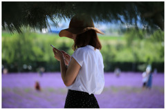 今なにしているの　私は富良野