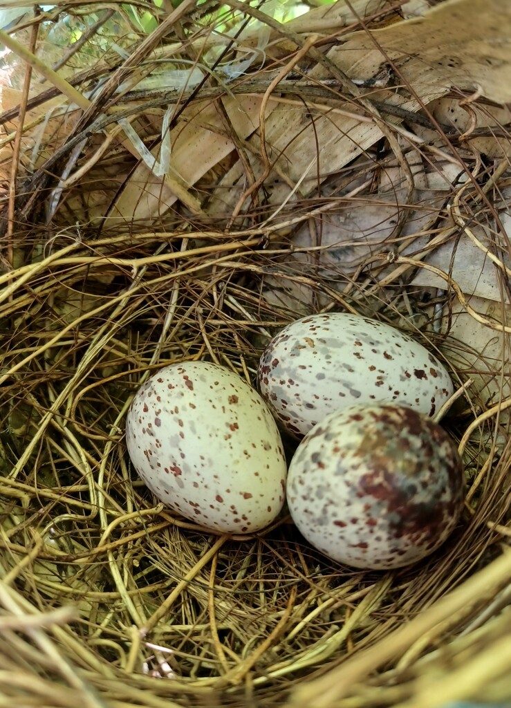 留守中に失礼･･･８月２５日