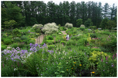 風のガーデン２