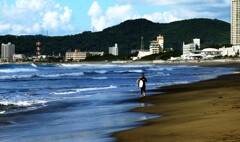 鴨川散策・・・秋の気配が