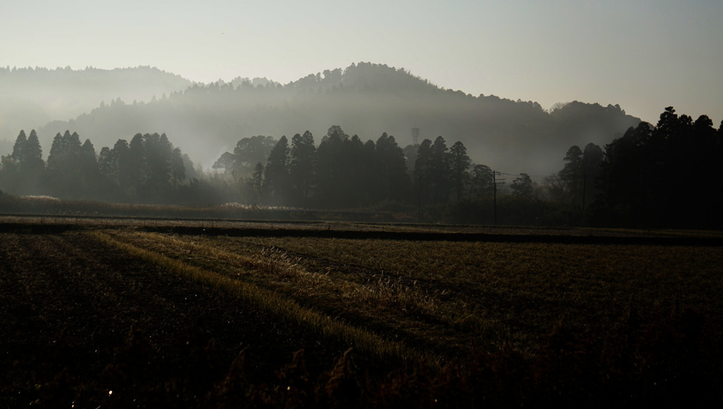 朝靄の山里１
