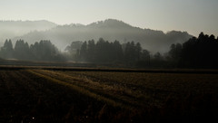 朝靄の山里１