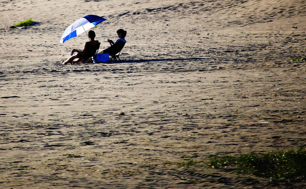 ビーチパラソル