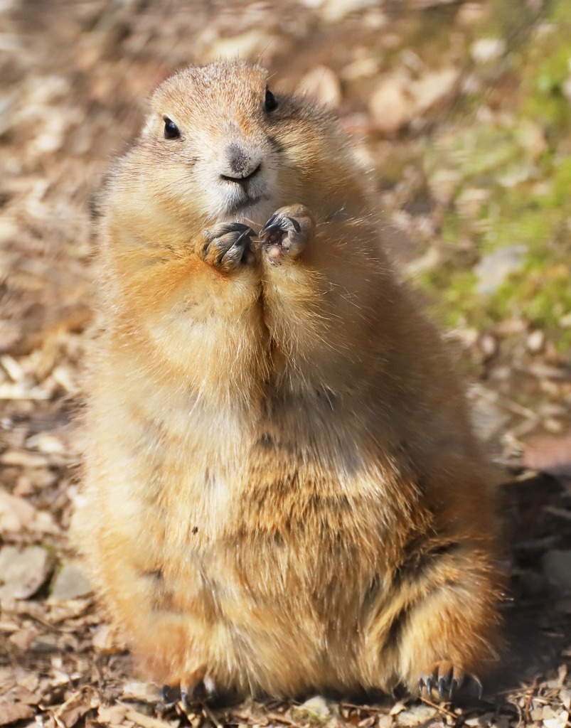 なに見てんの？･･･「♡」