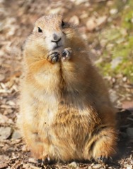 なに見てんの？･･･「♡」