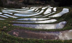 水が張られた鴨川千枚田