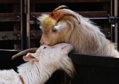 スキンシップ･･･その後２ヶ月したら別れてた 