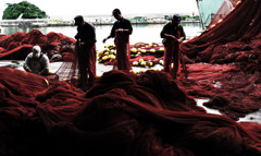 外房よいとこ･･･鴨川漁港