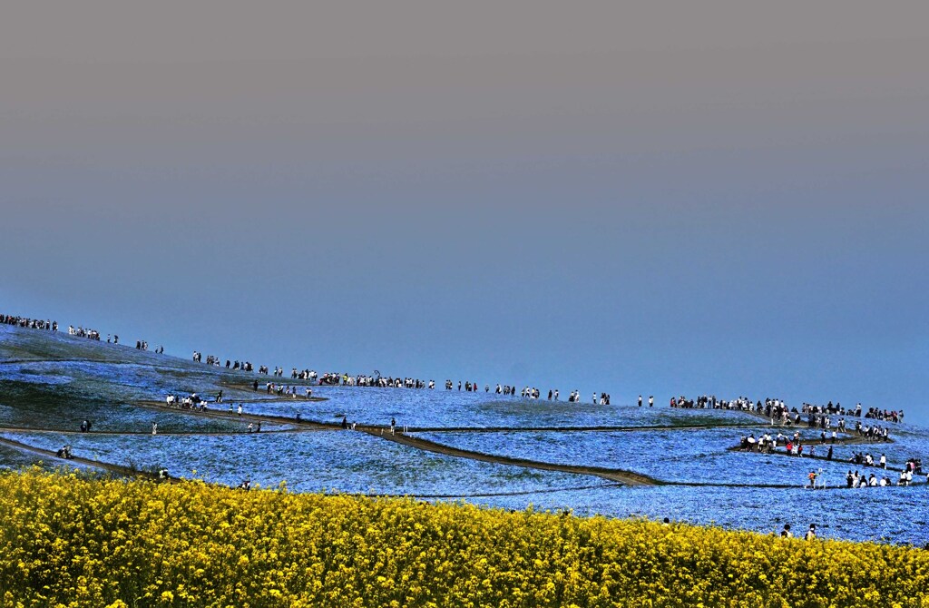 常陸那珂、海浜公園４