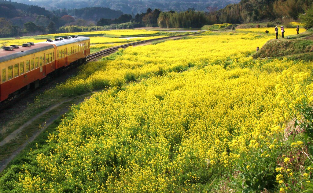 外房よいとこ･･･石神２
