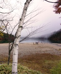 奥日光寸写９･･･湯の湖、北端