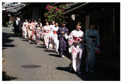 ぶらり京都･･･最近の修学旅行