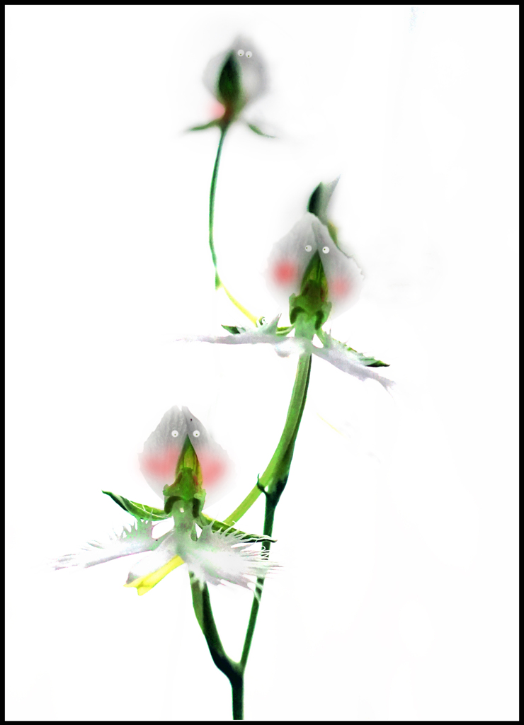 ユーモア写真･･･ビックリしたなあ-1