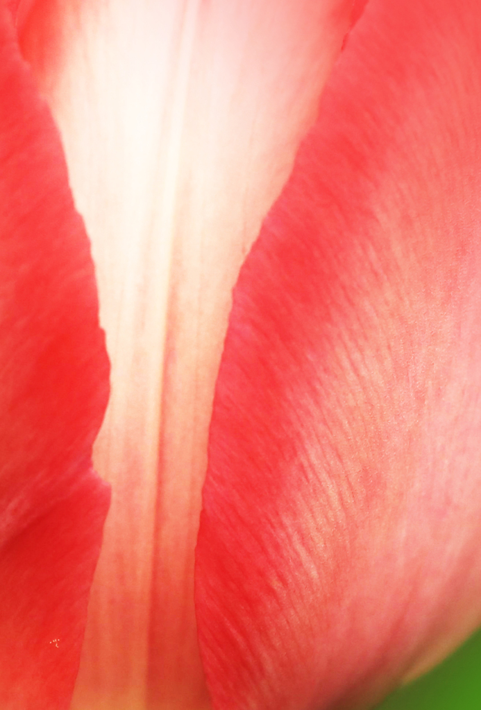 秘すれば花