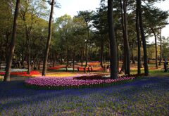 常陸那珂、海浜公園１