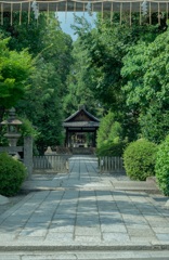 木嶋神社の自然