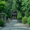 木嶋神社の自然