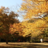 森林公園の紅葉 2 Part3
